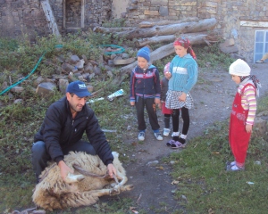 Ахвахский-2